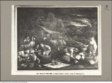 Vorderseite von bh120478_recto