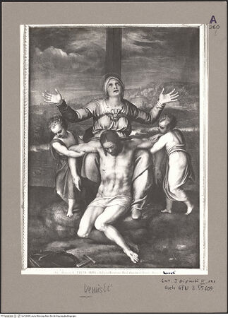 Vorderseite von bh120485_recto