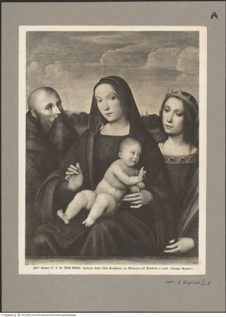 Vorderseite von bh120549_recto