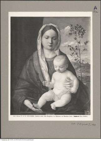 Vorderseite von bh120551_recto