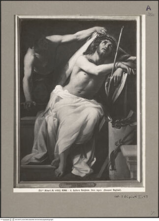 Vorderseite von bh120575_recto