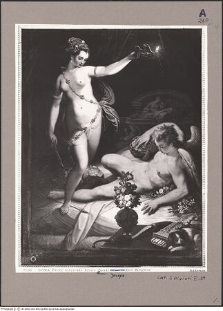 Vorderseite von bh120583_recto