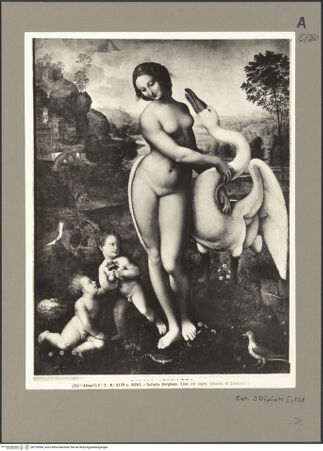 Vorderseite von bh120584_recto