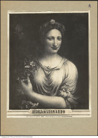 Vorderseite von bh120631_recto