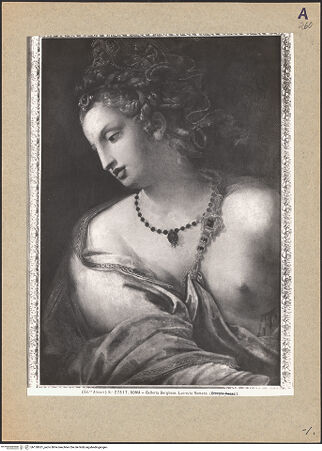 Vorderseite von bh120651_recto