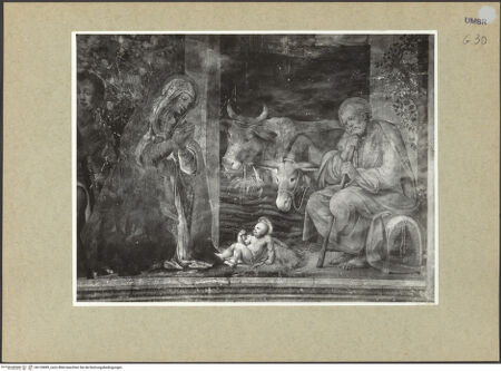 Vorderseite von ICCD [https://www.deutsche-digitale-bibliothek.de/content/lizenzen/rv-ez/] Szenen aus dem Leben der Maria und HeiligeAnbetung der Hirten - Detail: Anbetung durch Maria und Joseph, bh120899_recto. Foto.