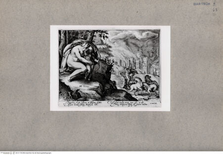 Vorderseite von  [http://creativecommons.org/publicdomain/mark/1.0/] Venus - , bh121190. Foto.