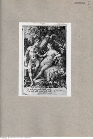 Vorderseite von  [http://creativecommons.org/publicdomain/mark/1.0/] Adam und Eva - , bh121193. Foto.