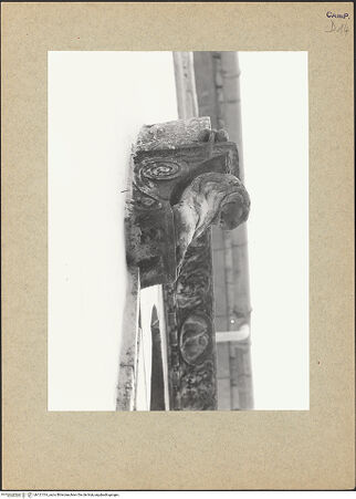 Vorderseite von Bibliotheca Hertziana [https://www.deutsche-digitale-bibliothek.de/content/lizenzen/rv-fz/] Löwe links, bh121314_recto. Foto.