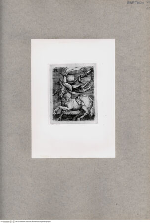 Vorderseite von x [http://creativecommons.org/publicdomain/mark/1.0/] Kentaur - , bh121330. Foto.