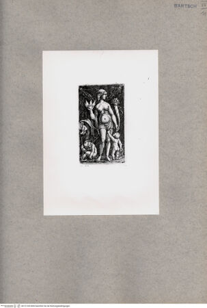 Vorderseite von  [http://creativecommons.org/publicdomain/mark/1.0/] Venus - , bh121335. Foto.