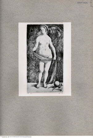 Vorderseite von  [http://creativecommons.org/publicdomain/mark/1.0/] Venus - , bh121374. Foto.