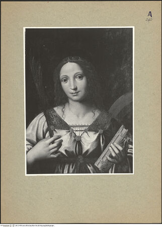 Vorderseite von bh121499_recto