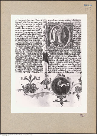 Vorderseite von bh121626_recto