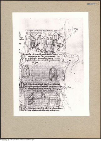 Vorderseite von bh121643_recto