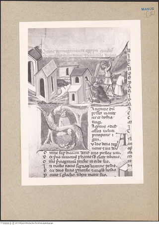 Vorderseite von bh121644_recto