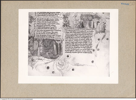 Vorderseite von bh121645_recto