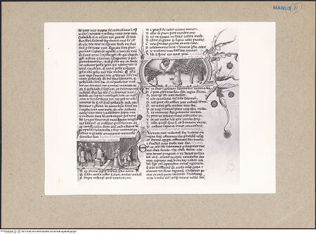 Vorderseite von bh121658_recto