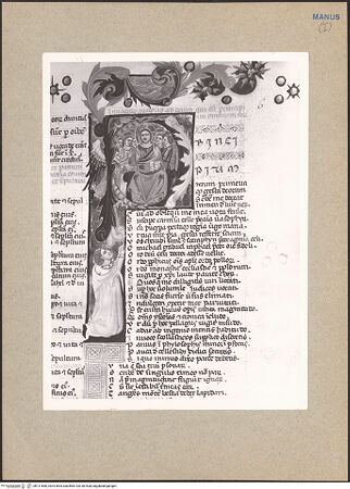 Vorderseite von bh121668_recto