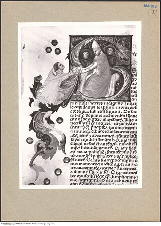 Vorderseite von bh121669_recto