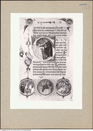 Vorderseite von bh121688_recto