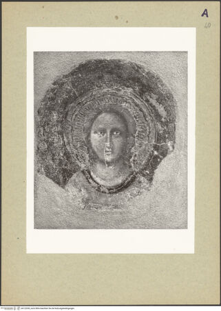 Vorderseite von bh122050_recto