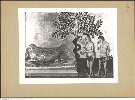 Vorderseite von bh122068_recto