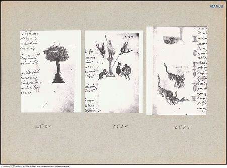 Vorderseite von bh122475_bh122476_bh122477_recto