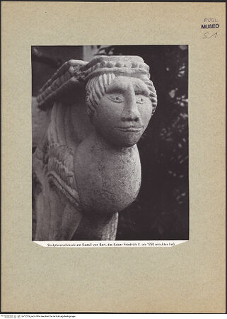 Vorderseite von bh122556_recto