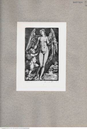 Vorderseite von  [http://creativecommons.org/publicdomain/mark/1.0/] Venus - , bh122612. Foto.