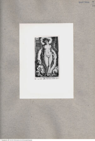Vorderseite von  [http://creativecommons.org/publicdomain/mark/1.0/] Venus - , bh122613. Foto.