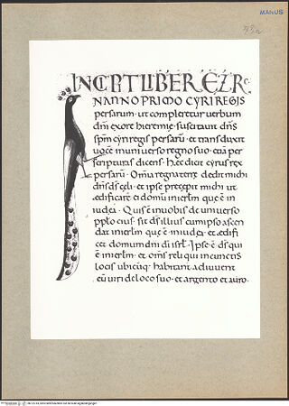 Vorderseite von bh122743_recto