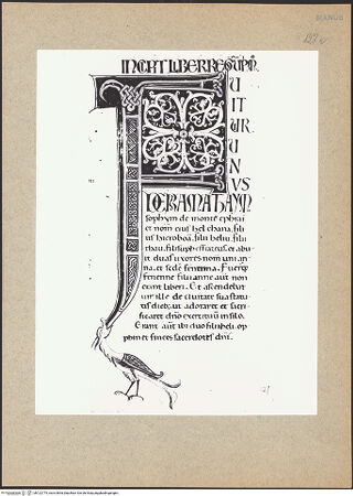 Vorderseite von bh122775_recto