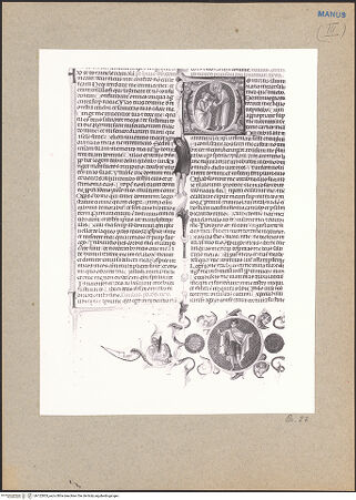 Vorderseite von bh122803_recto