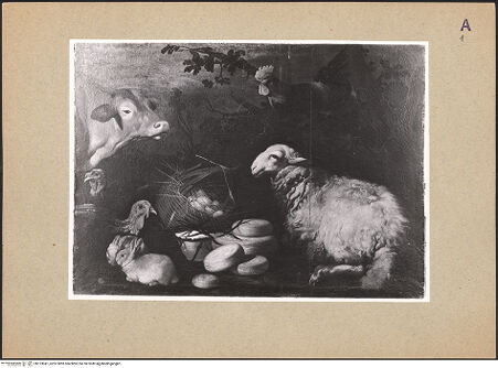 Vorderseite von bh123041_recto