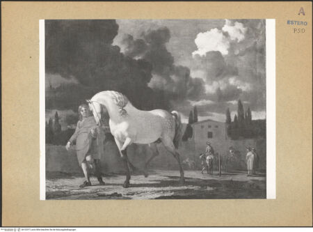 Vorderseite von bh123377_recto