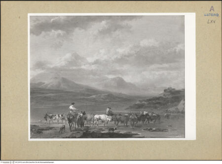 Vorderseite von bh123418_recto