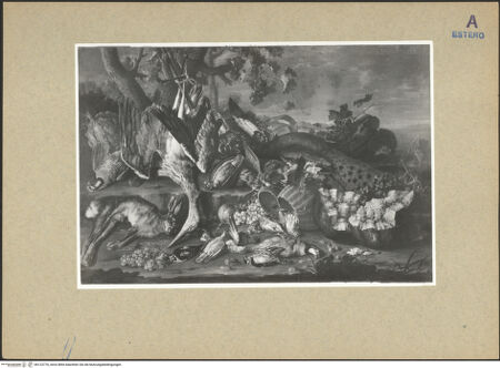 Vorderseite von bh123776_recto