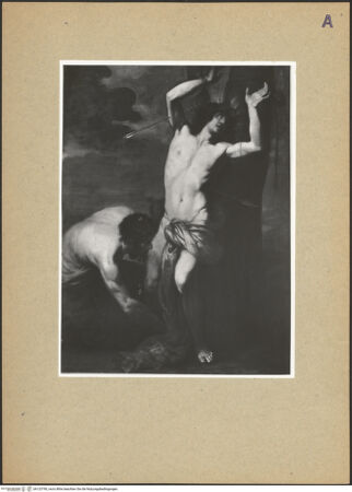 Vorderseite von bh123790_recto