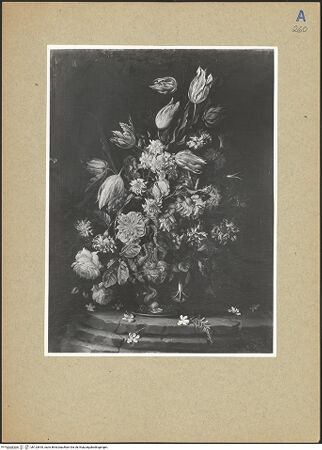 Vorderseite von bh123818_recto