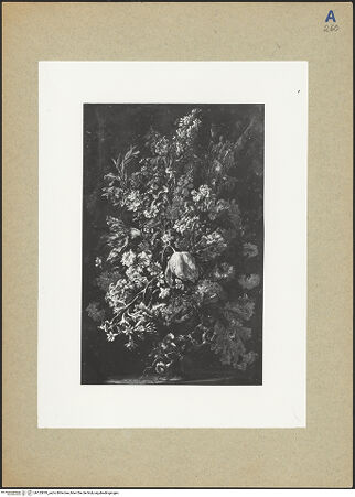 Vorderseite von bh123819_recto