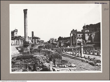 Vorderseite von bh124113_recto