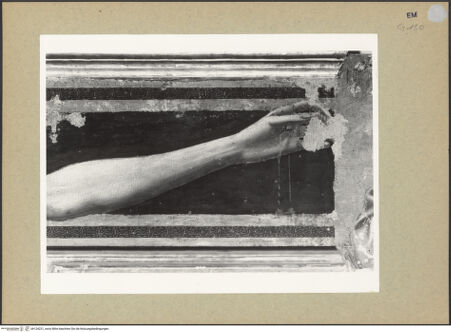 Vorderseite von Fotofast, Bologna [https://www.deutsche-digitale-bibliothek.de/content/lizenzen/rv-ez/] Tafelkreuze (Christus Patiens) - Detail, linker Arm, bh124221_recto. Foto.