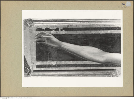 Vorderseite von Fotofast, Bologna [https://www.deutsche-digitale-bibliothek.de/content/lizenzen/rv-ez/] Tafelkreuze (Christus Patiens) - Detail, rechter Arm, bh124222_recto. Foto.