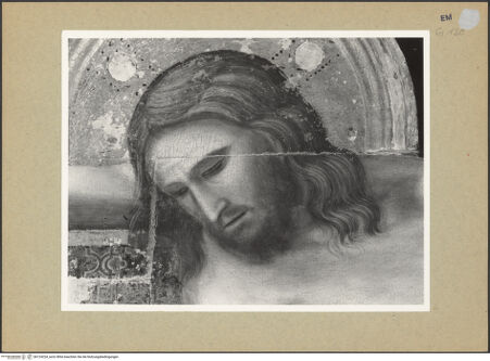 Vorderseite von Fotofast, Bologna [https://www.deutsche-digitale-bibliothek.de/content/lizenzen/rv-ez/] Tafelkreuze (Christus Patiens) - Detail, Kopf, bh124224_recto. Foto.