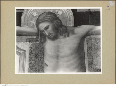 Vorderseite von Fotofast, Bologna [https://www.deutsche-digitale-bibliothek.de/content/lizenzen/rv-ez/] Tafelkreuze (Christus Patiens) - Detail, Oberkörper, bh124225_recto. Foto.