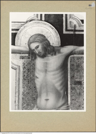Vorderseite von Fotofast, Bologna [https://www.deutsche-digitale-bibliothek.de/content/lizenzen/rv-ez/] Tafelkreuze (Christus Patiens) - Detail, Oberkörper, bh124226_recto. Foto.