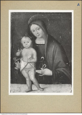 Vorderseite von bh124264_recto