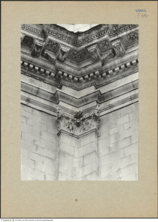 Vorderseite von Bibliotheca Hertziana [https://www.deutsche-digitale-bibliothek.de/content/lizenzen/rv-fz/] Kapitelle am AußenbauKapitell mit männlichen Masken anstelle der Voluten, zwischen den Eckblättern je eine Eule - Untersicht des Kapitells und Unterseite des Kranzgesimses, bh124302_recto. Foto.