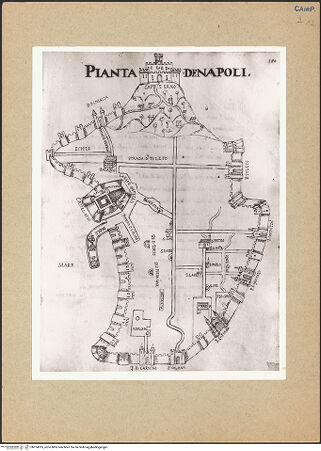 Vorderseite von bh124335_recto